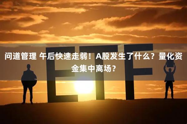 问道管理 午后快速走弱！A股发生了什么？量化资金集中离场？