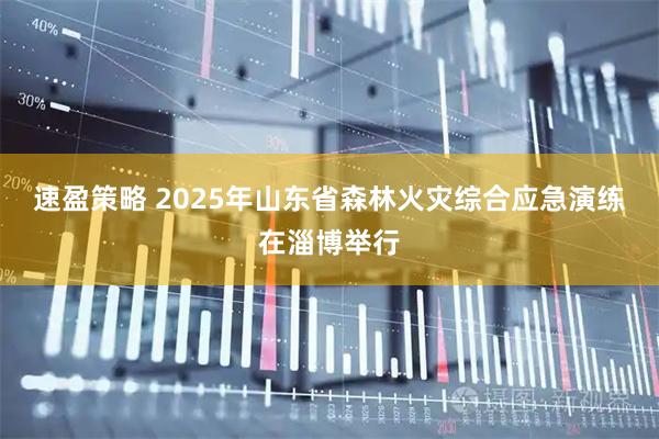 速盈策略 2025年山东省森林火灾综合应急演练在淄博举行