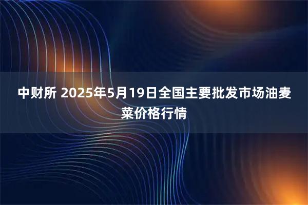 中财所 2025年5月19日全国主要批发市场油麦菜价格行情