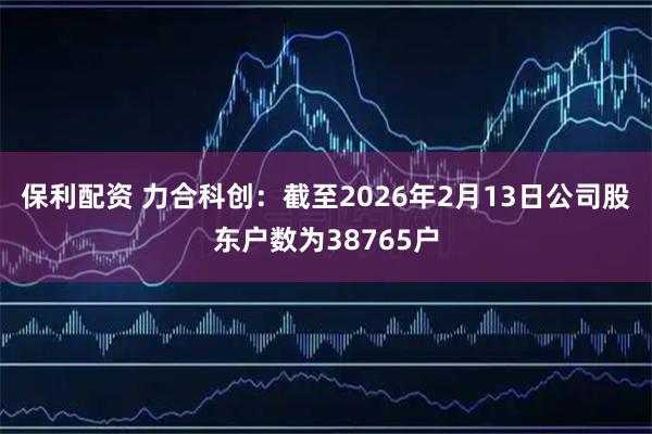 保利配资 力合科创：截至2026年2月13日公司股东户数为38765户