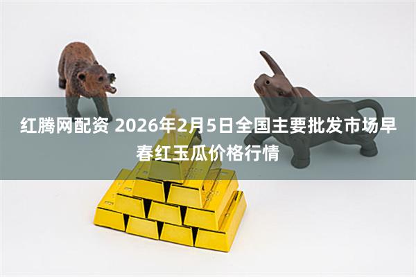 红腾网配资 2026年2月5日全国主要批发市场早春红玉瓜价格行情