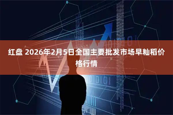 红盘 2026年2月5日全国主要批发市场早籼稻价格行情